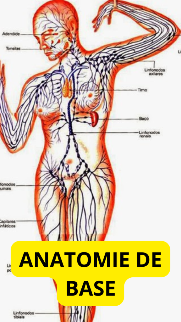MOXIBUSTION (2)